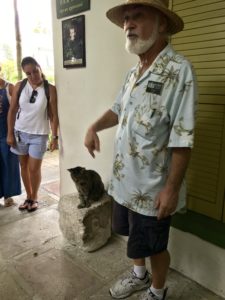 Polydactyl cat and tour guide at Ernest Hemingway Home and Museum