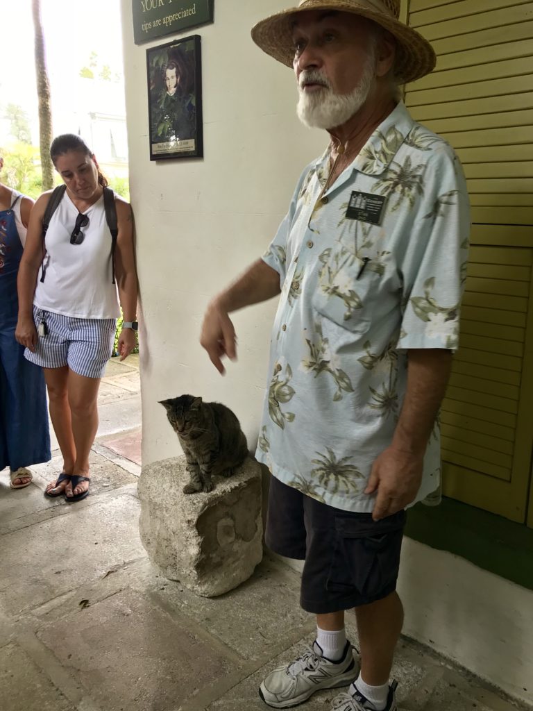 Polydactyl cat and tour guide at Ernest Hemingway Home and Museum