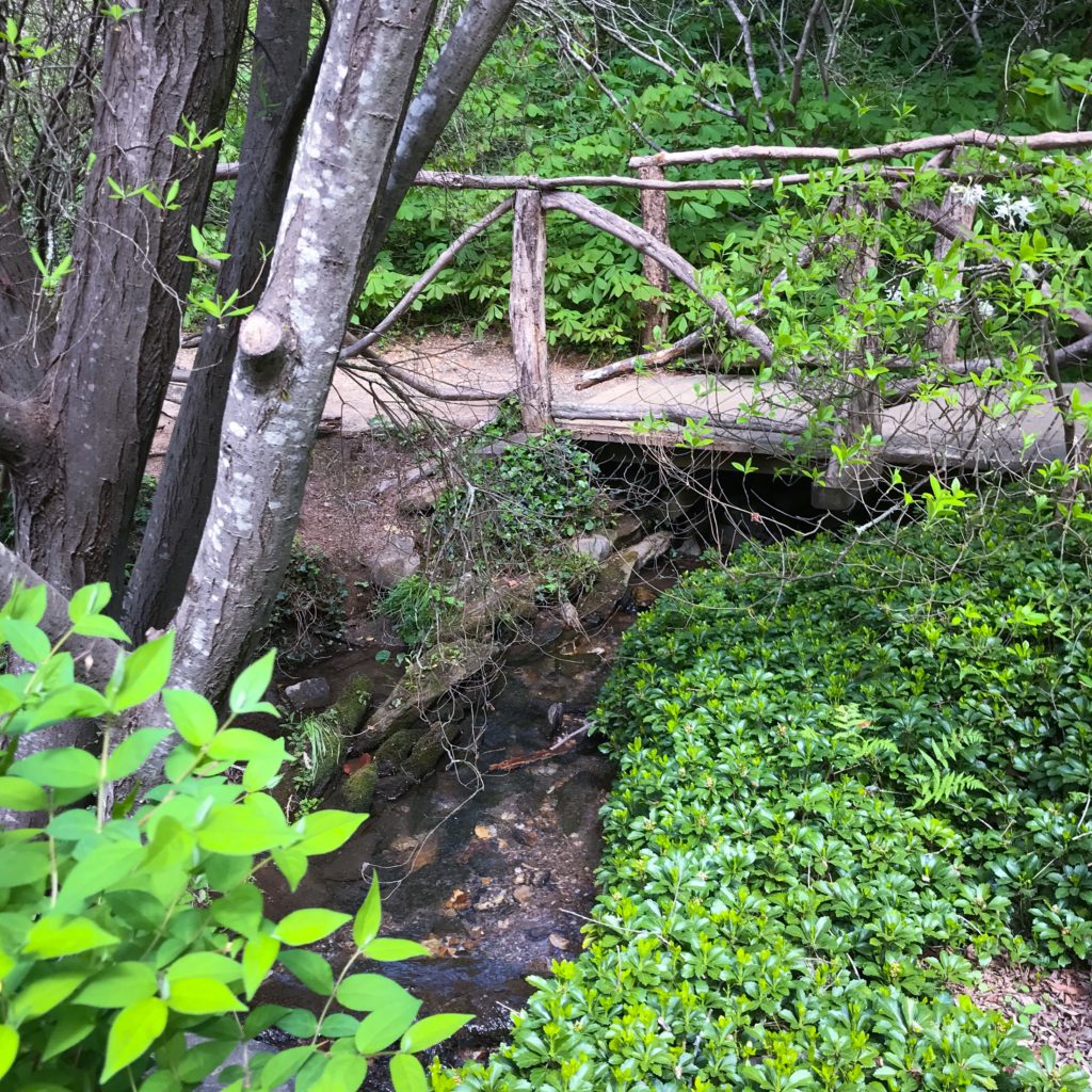 Creek running under a footbridge in the Biltmore gardens 