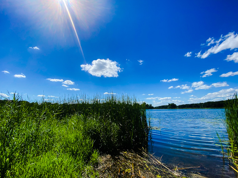 Blue lake at shoreline with vegetation and a sunburst