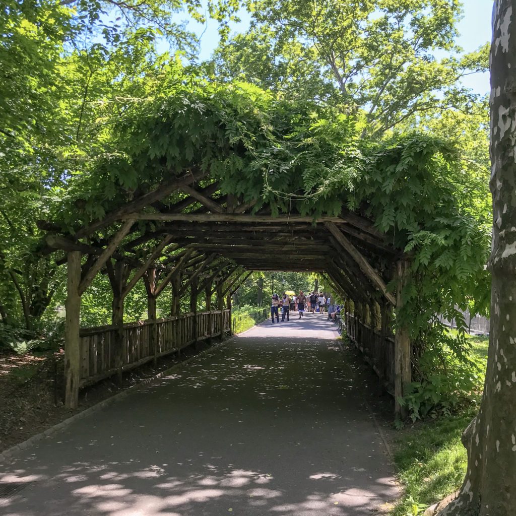 Arbor and path in Central Park New York City