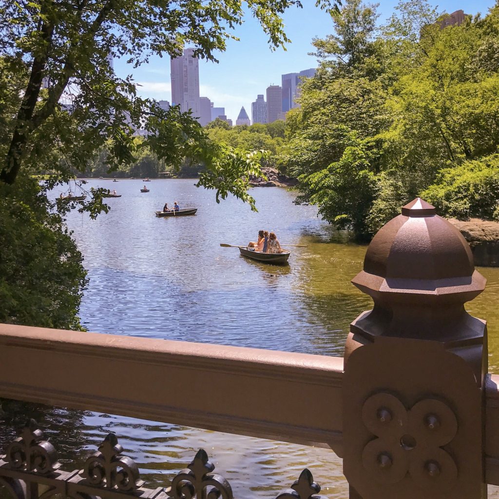 Row boats on the Central Park lake in New York City
