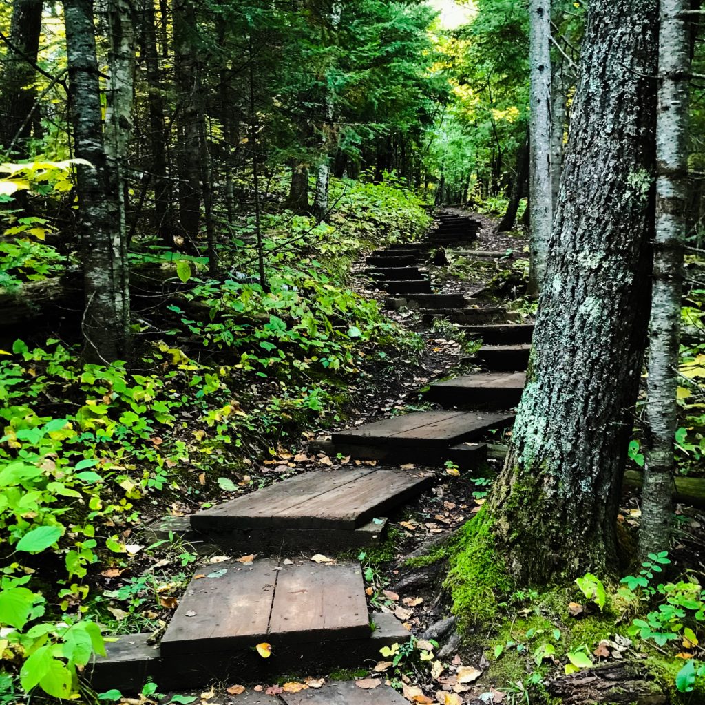steps leading into forest at Tettegouche start park