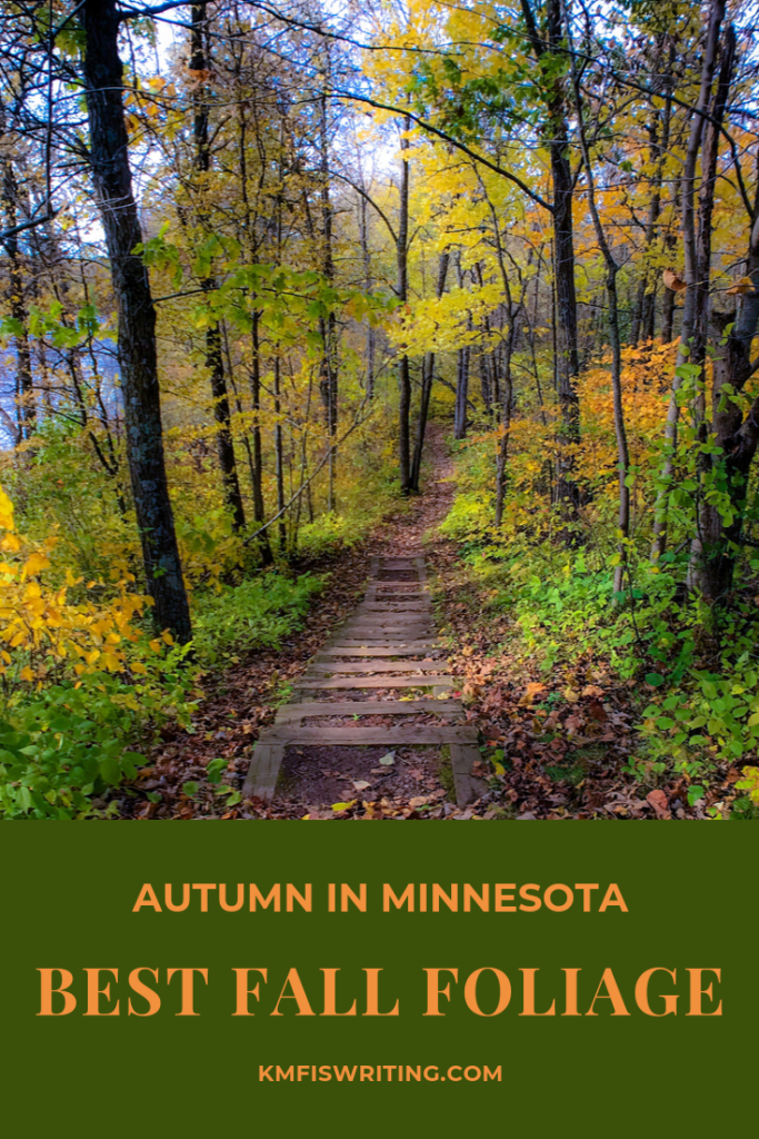 Fall colors and stairs leading down through forest 