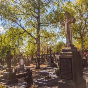 headstones and statues and memorials in cemetery with trees