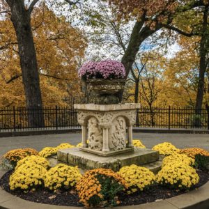 Garden of mums at the Mayowood Mansion in Rochester, Minnesota