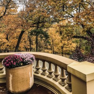 Fall foliage and mums on the porch at the Mayowood Mansion in Rochester, Minnesota