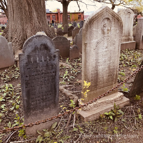 Two headstones behind a chain and in front of a tree in a cemetery