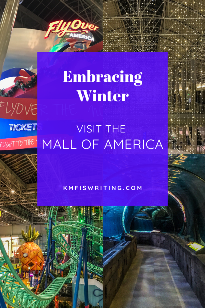 Top things to do at Mall of America 