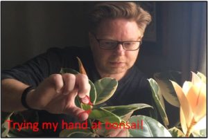 Man tending to a bonsai plant staycation postcards