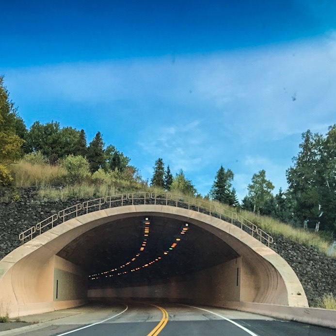 Silver Creek Cliff Tunnel through bluff on North Shore Minnesota
