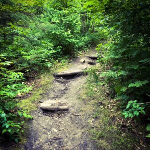 Hiking trail in the forest with steps
