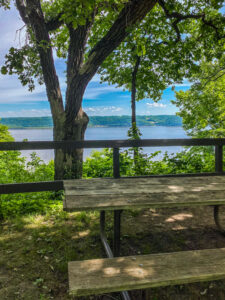Picnic table overlooking lake