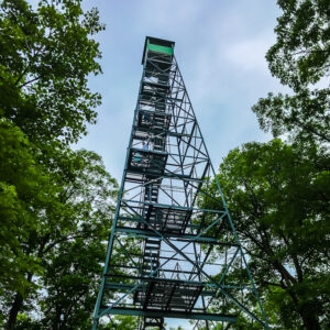 Fire tower in the woods