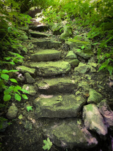 Rock steps on hiking trail in forest