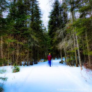 Man hiking on a snowy path surrounded by towering trees