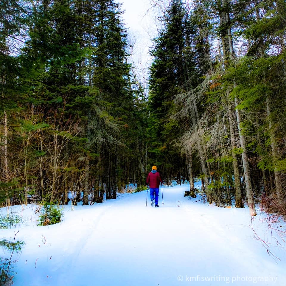 The top 16 winter hikes in Minnesota – ranked