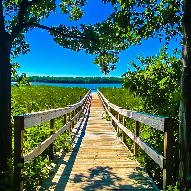 Bridge leading to a dock on a lake surrounded by marshland 