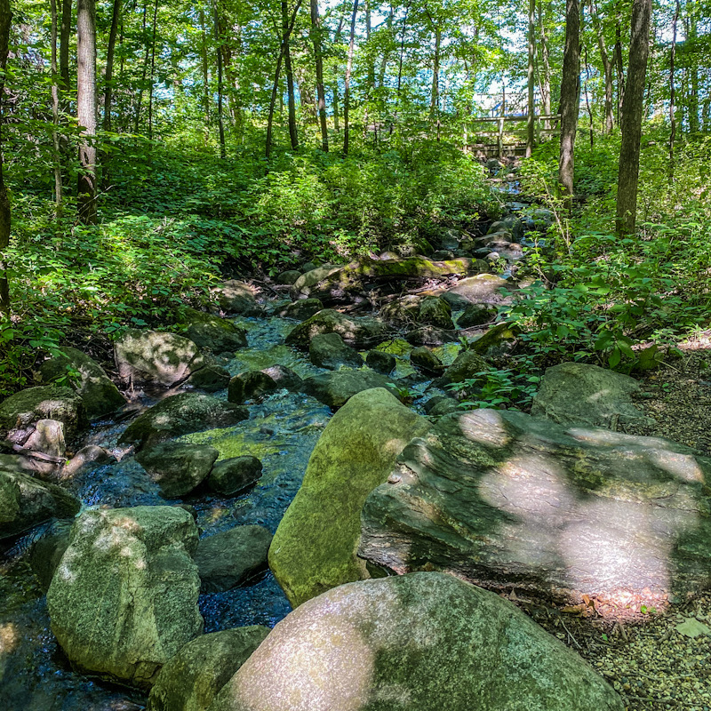 Boulders in creek surrounded by green trees
