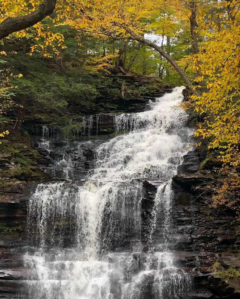 Waterfall with fall leaves
