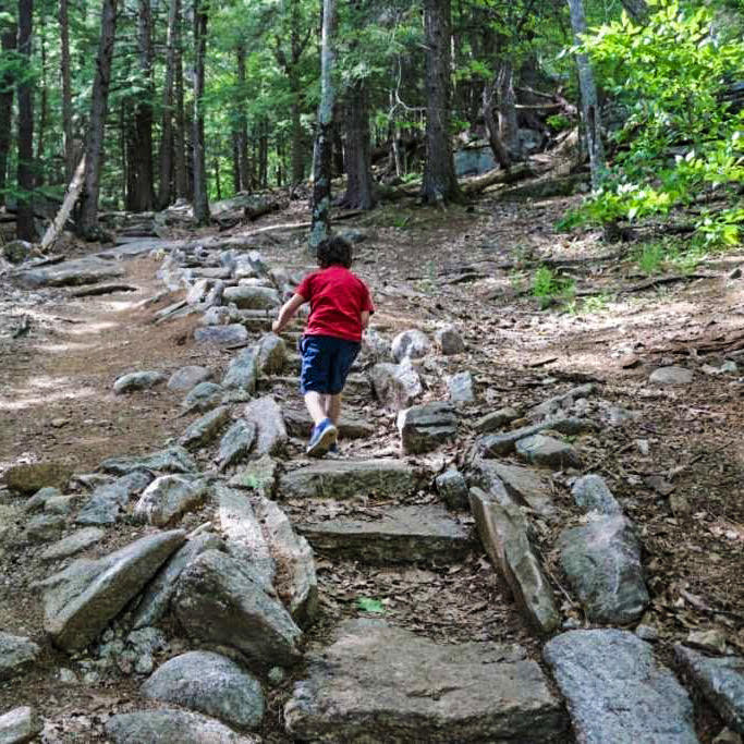 Boy hiking on a stone path in the forest