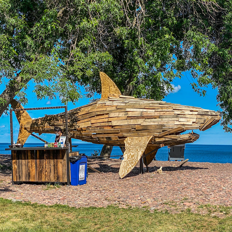 Shark and happy hour bar on shoreline