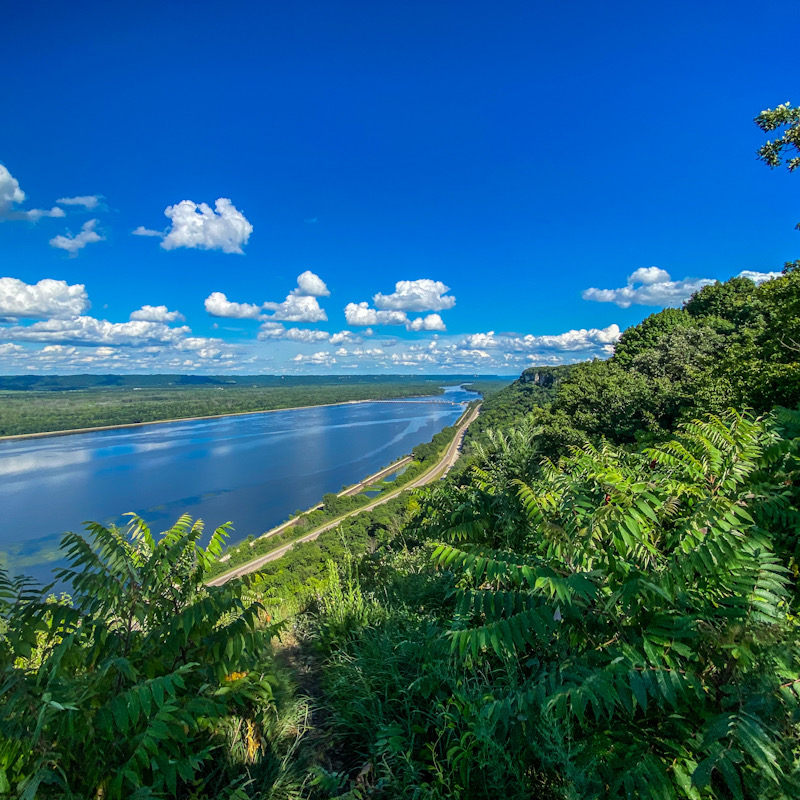 View of Mississippi River and green foliage