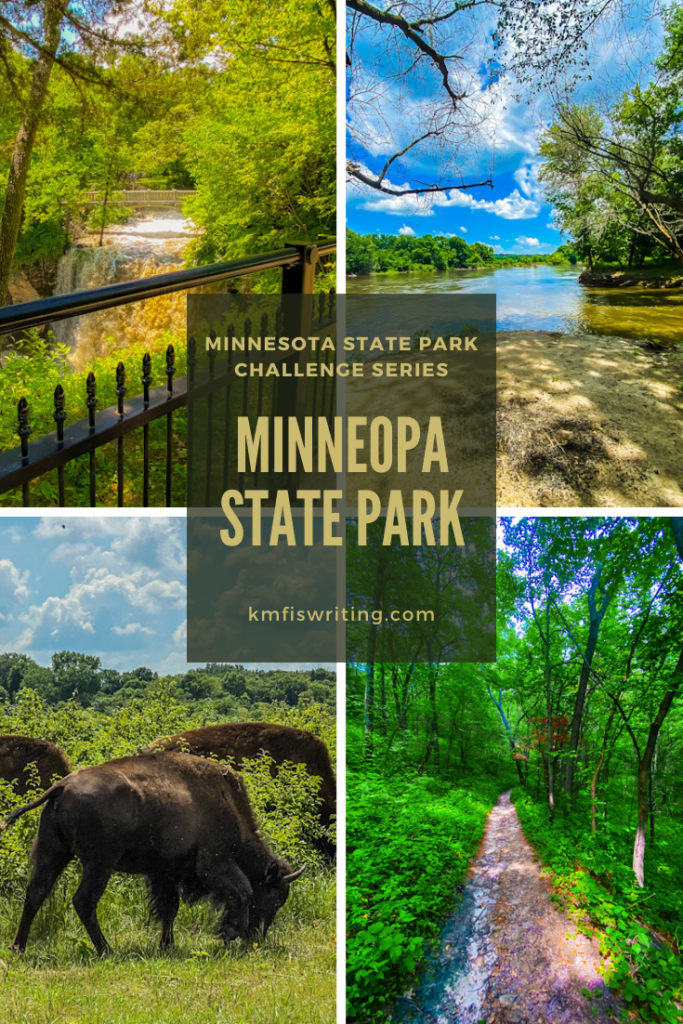 Minneopa State Park bison, waterfalls, Minnesota River, hiking path