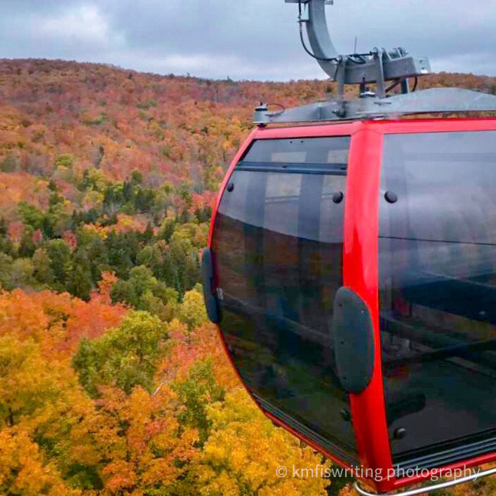 Red gondola looking over fall foliage trees on mountain