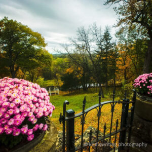fall colors, flowers and trees with gate to a fence