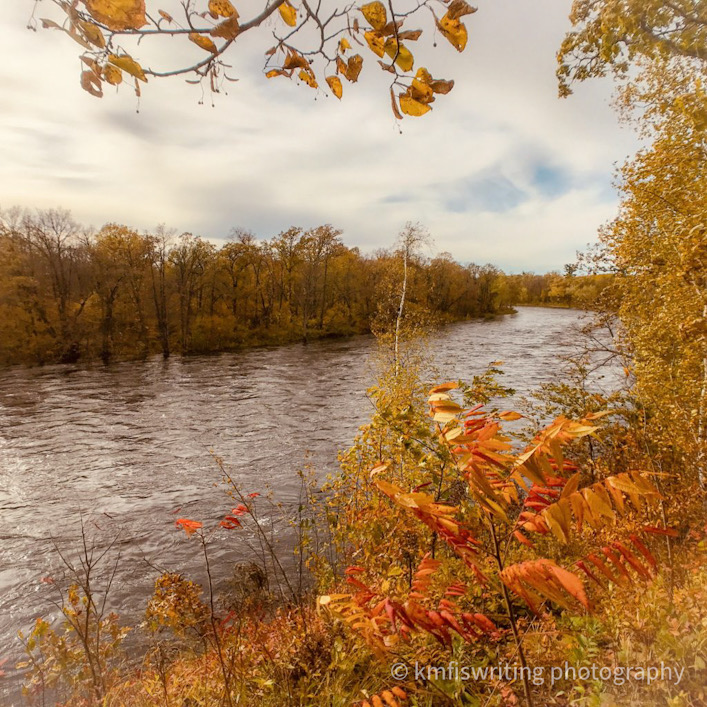 fall foliage along river