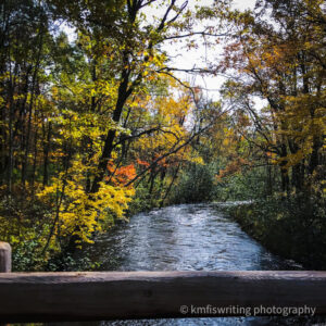Bridge overlooking creek and fall colors in trees