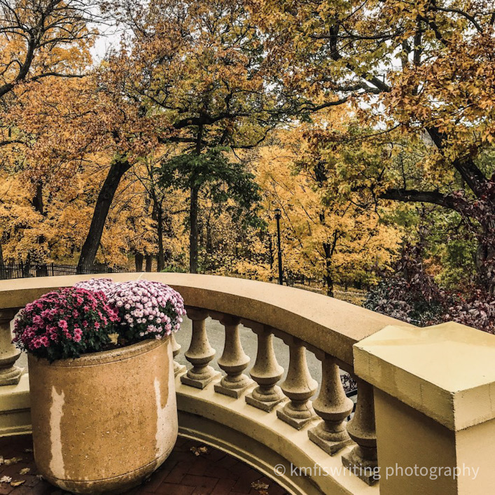 porch with flower overlooking fall foliage