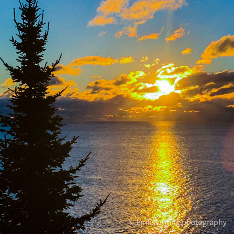 sunrise on lake superior with evergreen tree in front