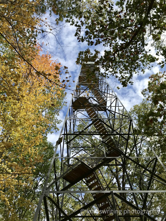 fire tower fall foliage and trees