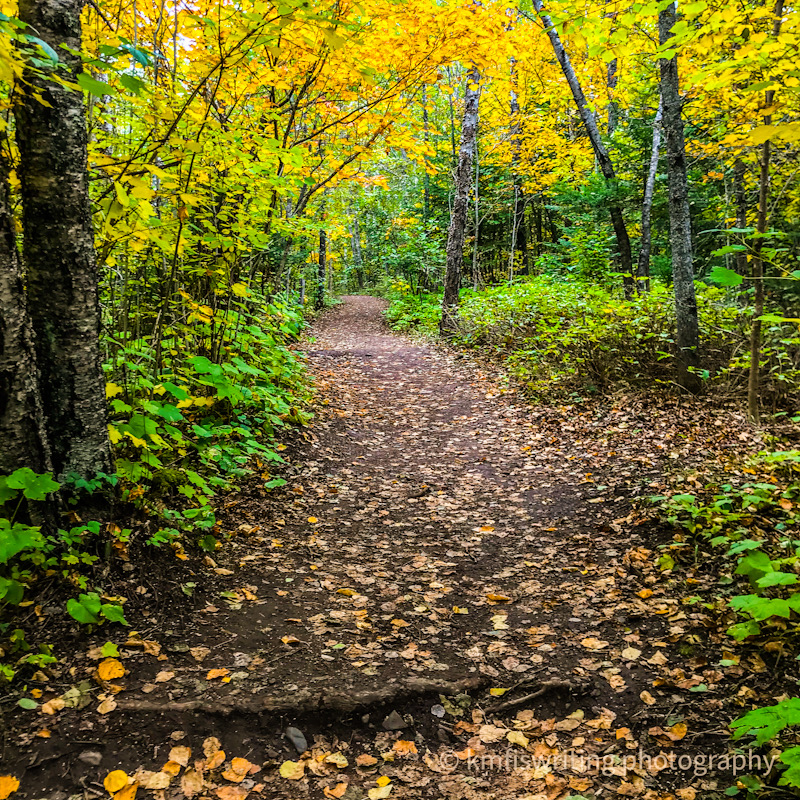 Hiking trails through fall leaves and foliage