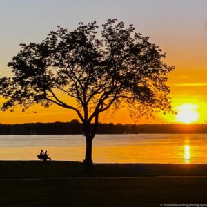 Sunset creates silhouette of couple sitting on park bench next to tree