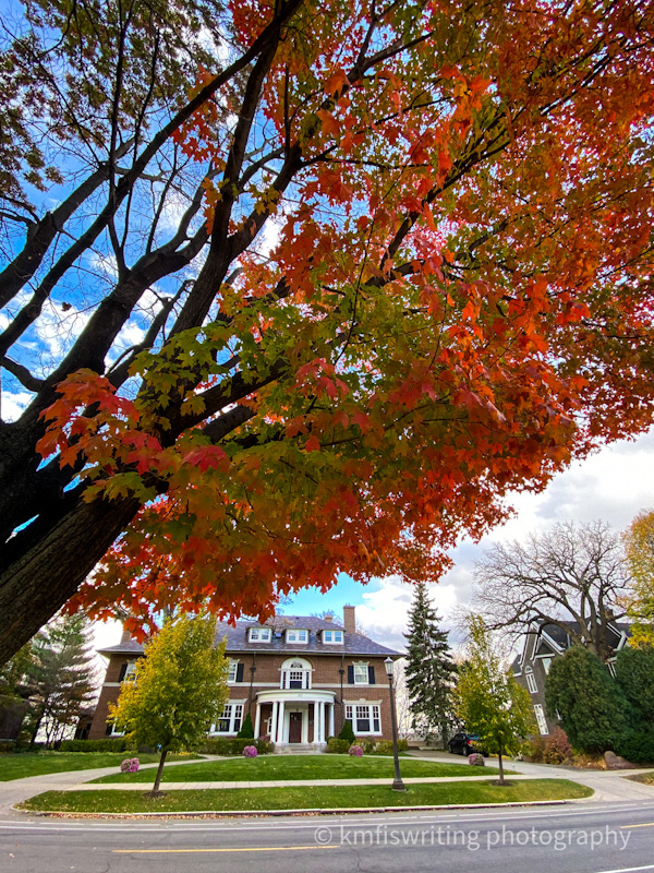 Historic home on Summit Ave during fall foliage season with red leaves on a tree