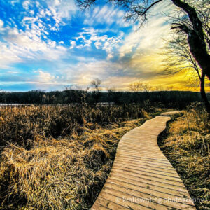 Boardwalk hiking trail in a park with a blue and yellow sky with clouds