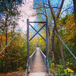 Swinging bridge with fall foliage
