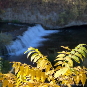 Waterfall in the backround with yellow foliage in the foreground