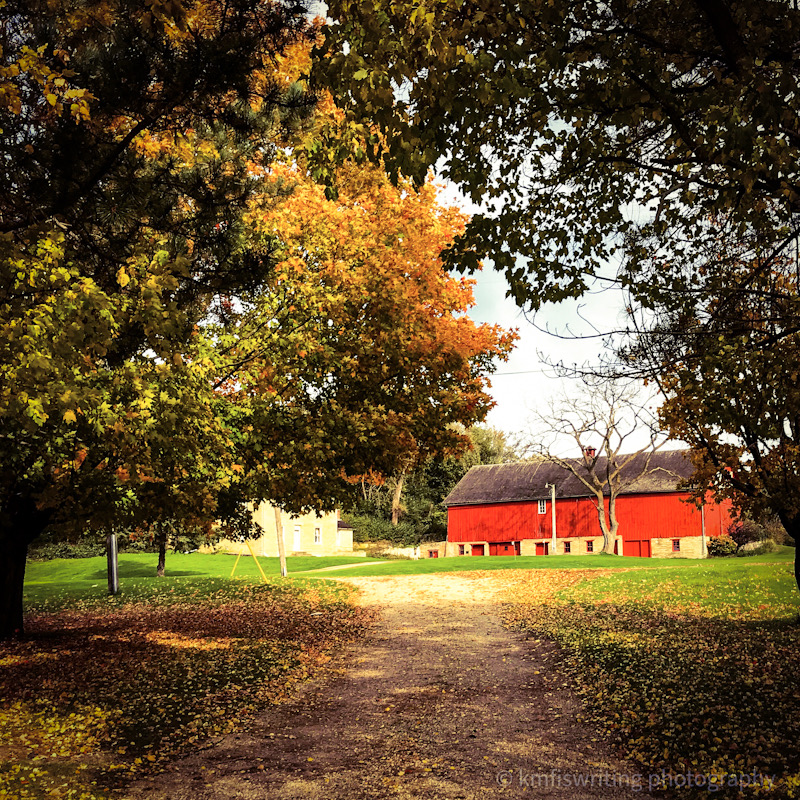 Fall foliage with path leading to red barn