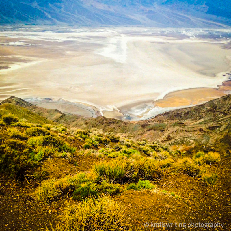 Desert shrubs, valleys in Death Valley