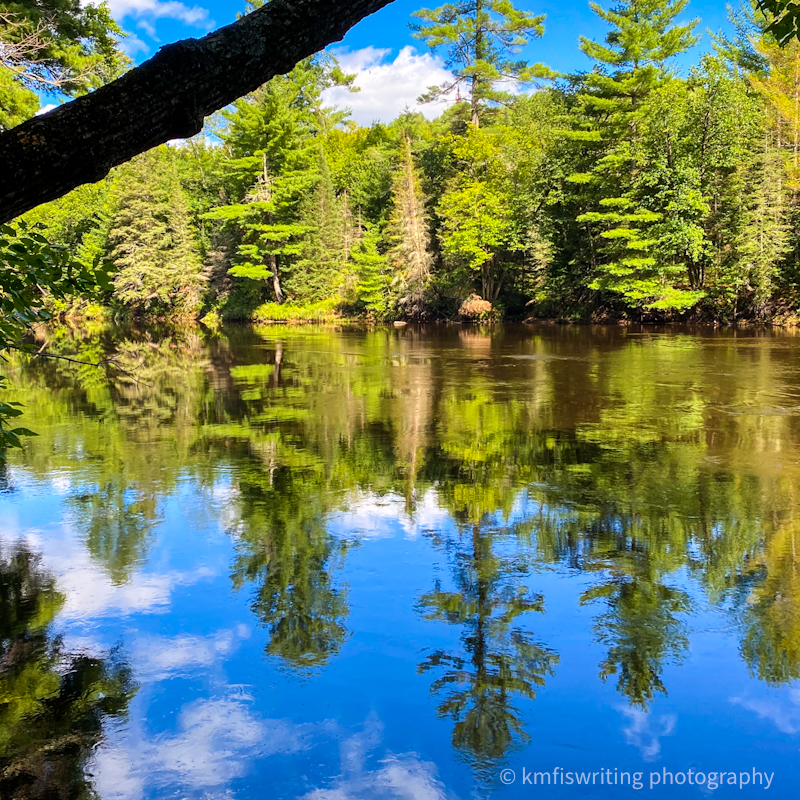 Banning State Park in Minnesota with tree reflections in water