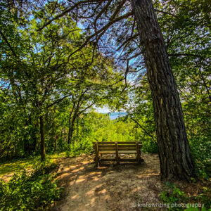 Park bench view at Afton State Park best trails near Twin Cities