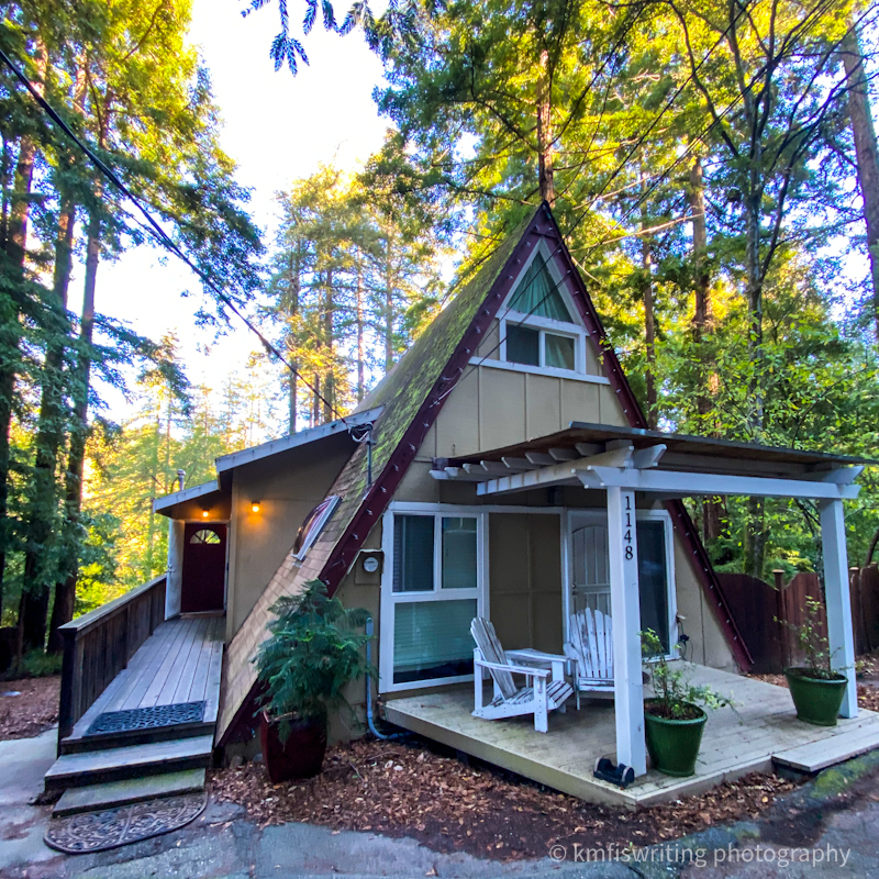 Unique Airbnb A-frame cabin in California redwoods