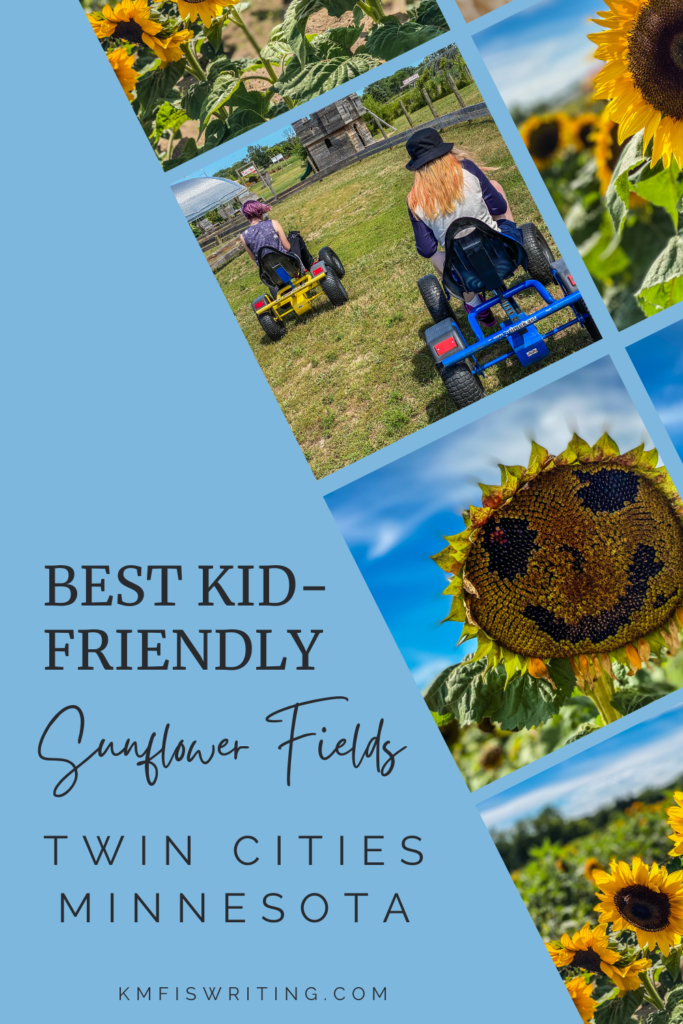 Best kid-friendly sunflower fields in Twin Cities Minnesota