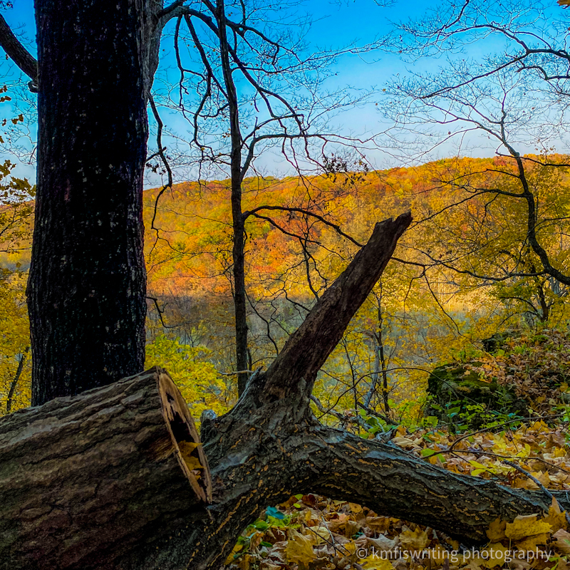 Minnesota Beaver Creek Valley State Park fall colors