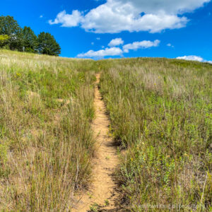 Grey Cloud Dunes Scientific and Natural Area best hiking in Twin Cities blue sky and prairie