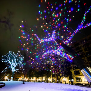 Mears Park Christmas lights display in St. Paul Minnesota Twin Cities